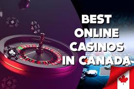 Discover the Best Online Casinos Your Ultimate Guide -195227620 Discover the Best Online Casinos Your Ultimate Guide -195227620